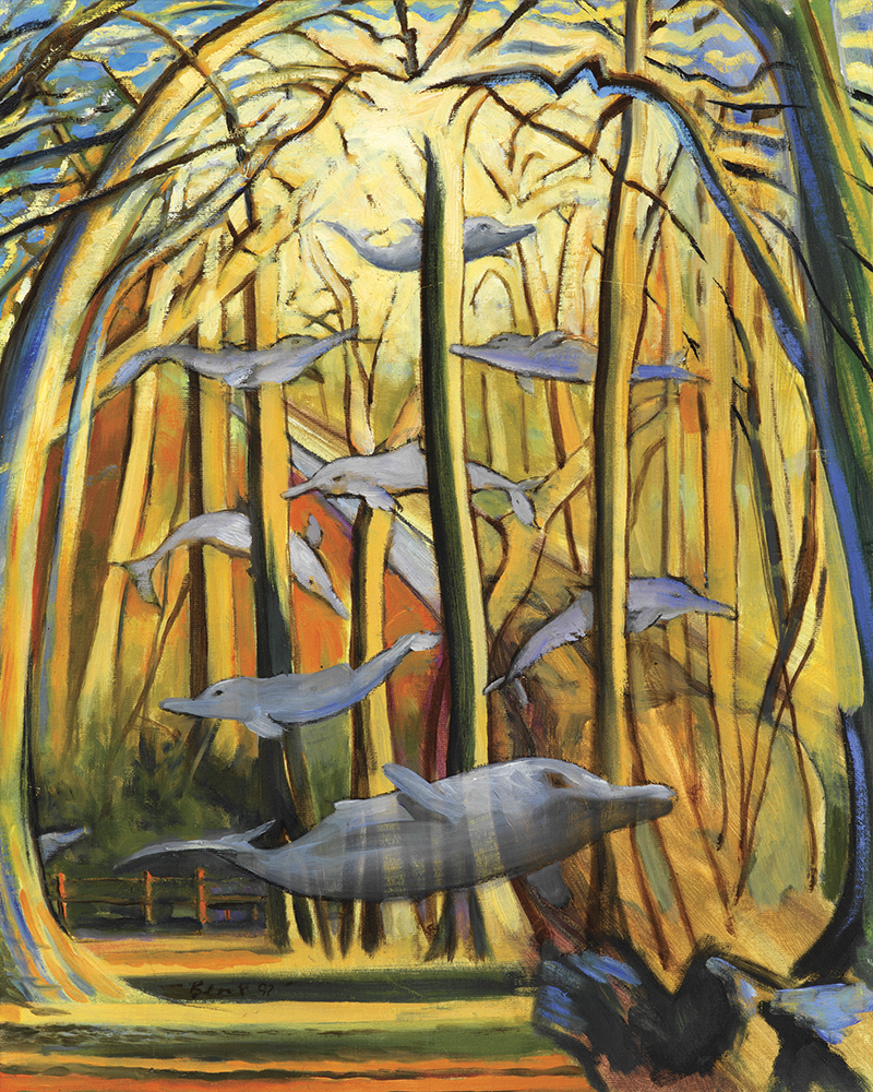 Dolphins in the Woods